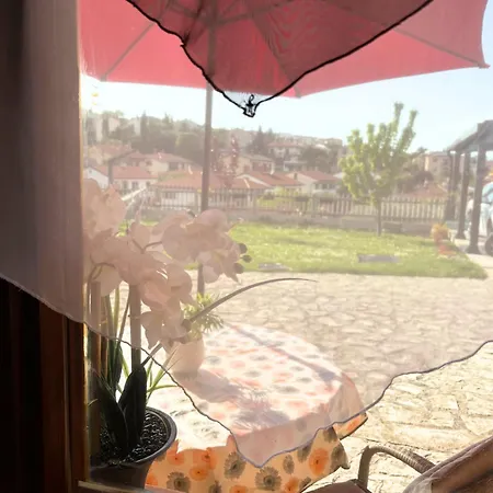 Solea & Apartamento *